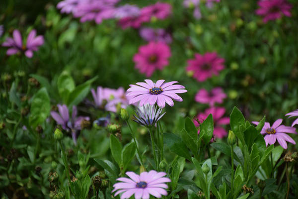 中国建筑材料流通协会家居建材市场专委会汇报研讨会在协会总部召开