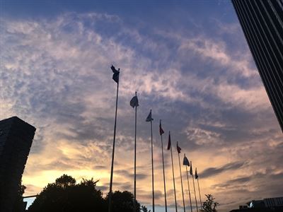 智慧城市1月数据透视：运营元年开启，县域赛道崛起