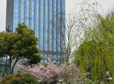 打造智慧城市算力统筹调度平台 构建数字时代的城市 “新算力引擎”