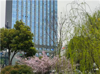 打造智慧城市算力统筹调度平台 构建数字时代的城市 “新算力引擎”