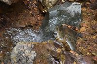 SIKORA 冷热端协同测量，成就更高管材品质