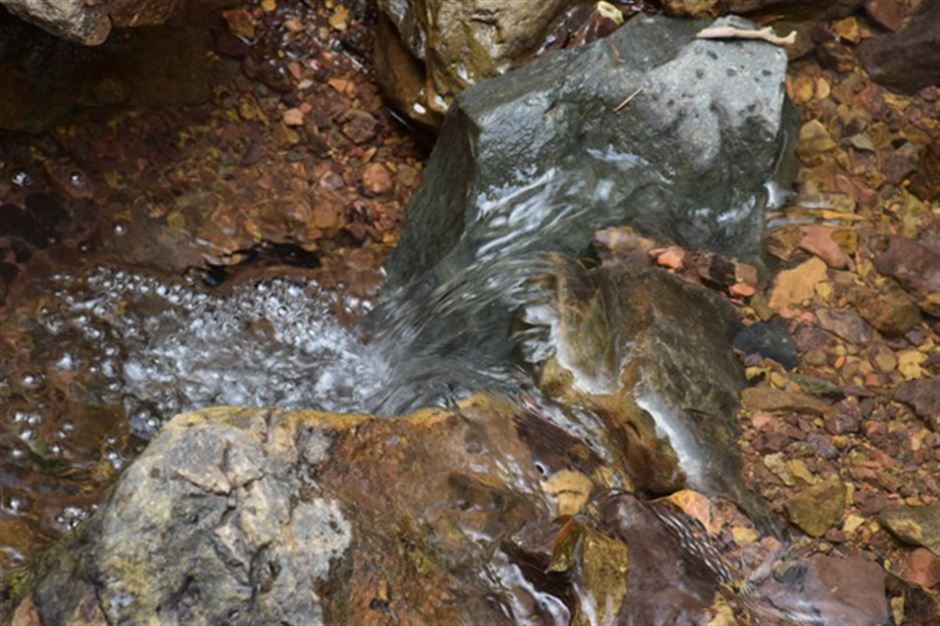 SIKORA 冷热端协同测量，成就更高管材品质