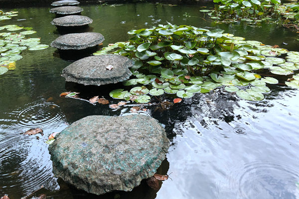 降本增效的双重最优解：PET瓶轻量化技术