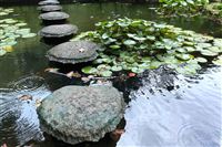 降本增效的双重最优解：PET瓶轻量化技术