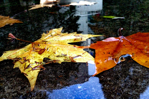 家纺大健康·睡眠新纪元 | 对话孚日：以材料革新解锁睡眠健康新答案